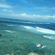 みーの画像