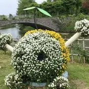 楽しく断捨離の画像