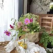 ☆ S ☆の画像