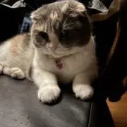 Beckyの画像