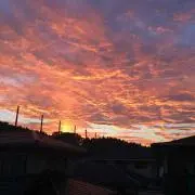 かみんがの画像