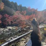あの画像