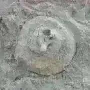 Rani＊*.゜の画像