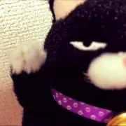 ちゃちゃ*プロフ必読お願いします*の画像