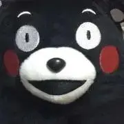 MIRU37の画像