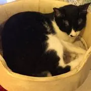 ちいの画像