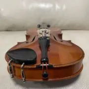 バリリの画像