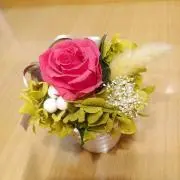 ノブノブの画像