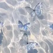 miの画像