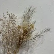みんみの画像