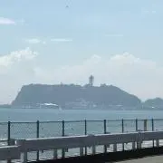 ラジカルプレステージ