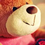まゆごろうの画像