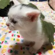 R♡の画像