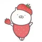 ぽこの画像