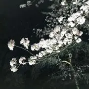 ruるる