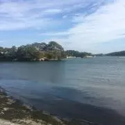 ビビビのネズミ男の画像