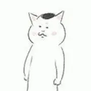 猫の画像