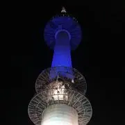 キムシゲの画像