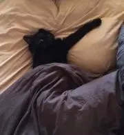 もんぶらん