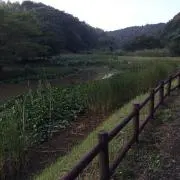 メルの画像