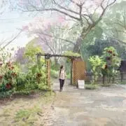 ゴメの画像