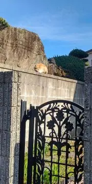 くふの画像