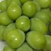 ごまだんご