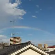 ゆうてぃの画像