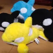 ま～ちゃん。