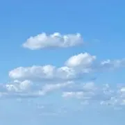 きりしまの画像