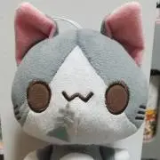 にゃんこ喫茶の画像