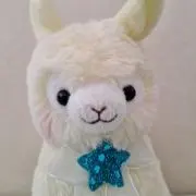 キタキツネの画像