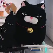 railの画像