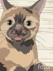 サビサビ子の画像