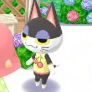にゃんこの画像
