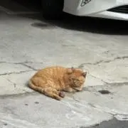 333の画像