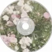 なしちゃん‎の画像