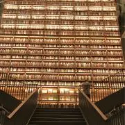 tanuの画像