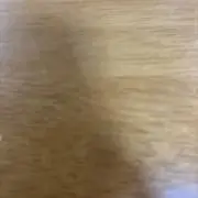 成神の画像