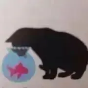 黒猫の画像