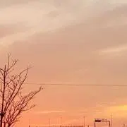 mi-koの画像