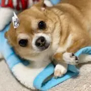 たろさんの画像