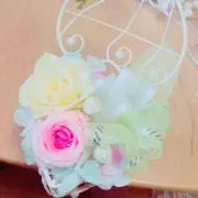 Kの画像