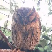 引越し前断捨離中 ごまごま
