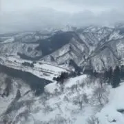 山田の画像