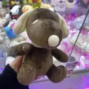 ky_☺︎⭐︎の画像