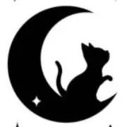猫【即日発送】の画像