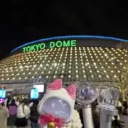 けちゃの画像