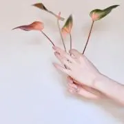 mikの画像