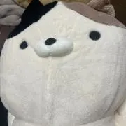 おすぎ